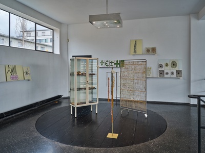 Blick in die Ausstellung "Carmen Müller: Von Gärten, Pflanzen und Menschen".