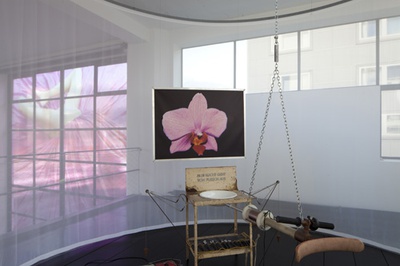 Blick in die Ausstellung "Cornelius Kolig: Meine Heimat ist mein Körper"  auf "Alle Macht geht vom Fleisch aus"