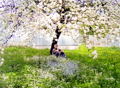 Cornelius Kolig, Apfelblüte