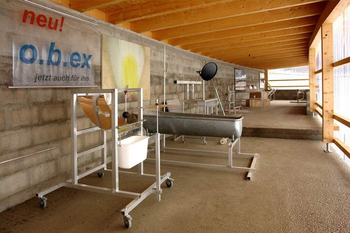 Cornelius Kolig, Das Paradies – Linke Niere