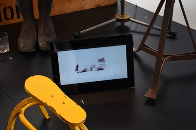 Blick in die Ausstellung "einfach alltäglich" im aut.