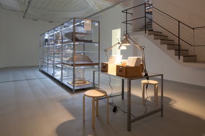 Blick in die Ausstellung "Form Follows Nature"