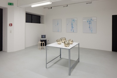 Blick in die Ausstellung "Form Follows Nature"