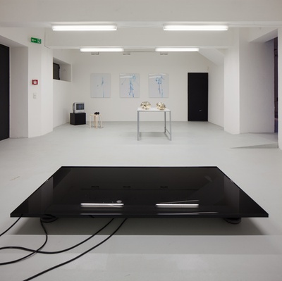 Blick in die Ausstellung "Form Follows Nature"