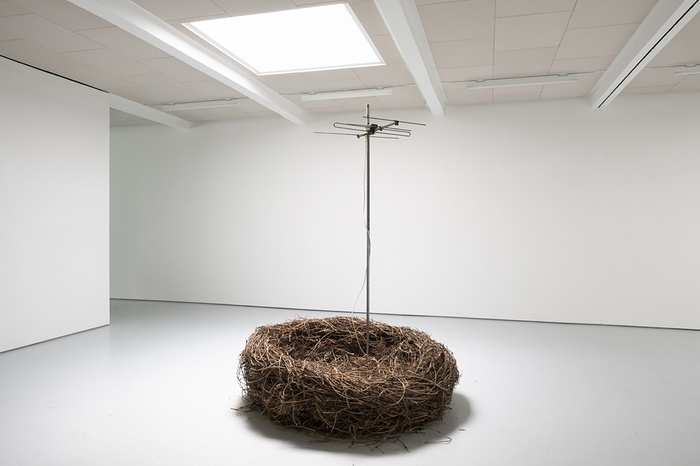 Roland Maurmair, Singlehit / Garçonnière, Installation, 2021