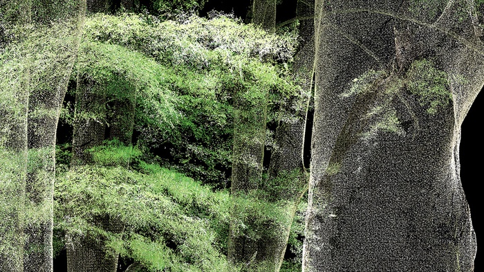 Lino Lanzmaier, Lidar Laserscan 5 Buchen