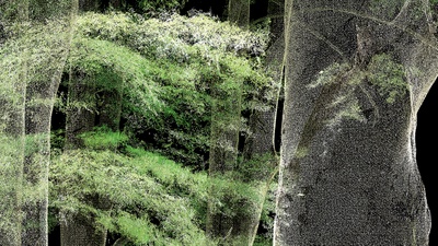 Bio Lab, Lidar Laserscan 5 Buchen