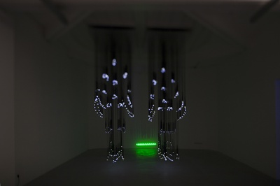 Blick in die Ausstellung "Rens Veltman: Infra und Ultra oder Colonise the Dark"