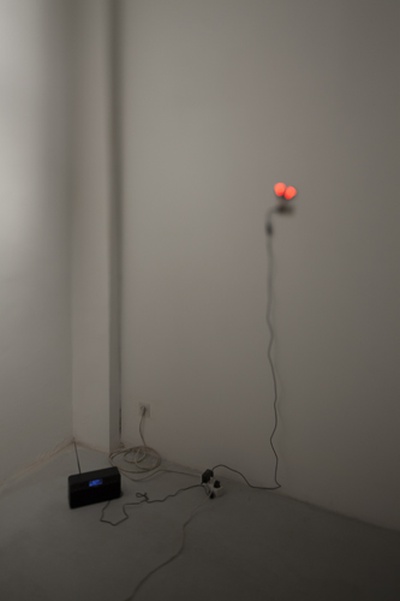 Blick in die Ausstellung "Rens Veltman: Infra und Ultra oder Colonise the Dark"