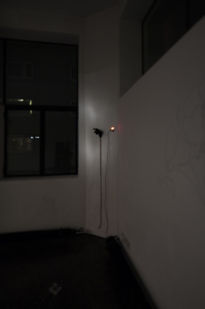 Blick in die Ausstellung "Rens Veltman: Infra und Ultra oder Colonise the Dark"