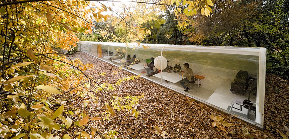 Office in the Woods, Madrid – © Iwan Baan Office in the Woods, Madrid
