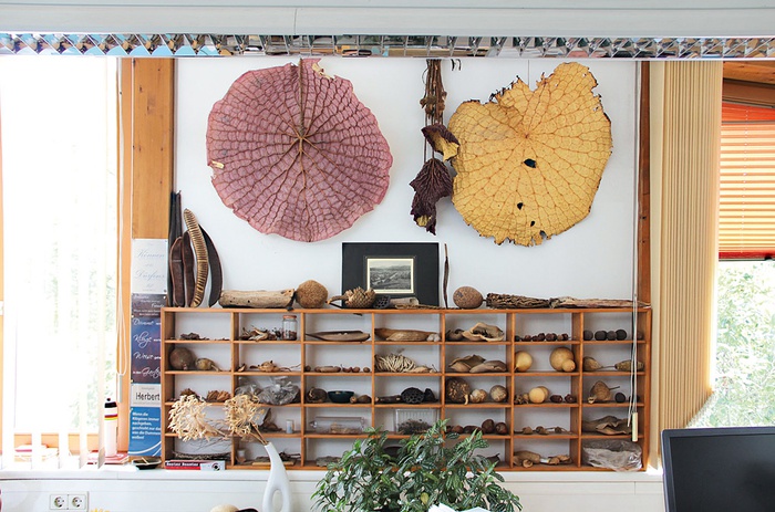 Botanik am Reiseweg im Büro von Herbert Bacher