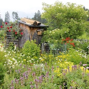 Garten der Vielfalt, Natters