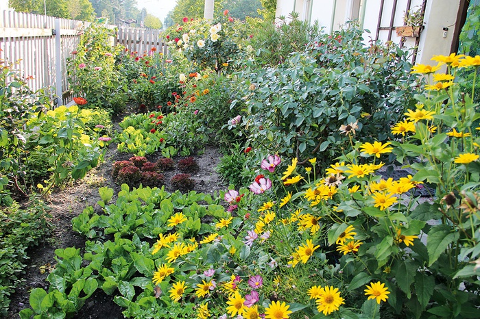Bauerngarten von Rosa, Amras