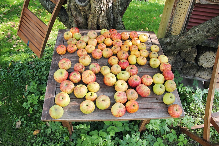 Pfarrgarten, Mariahilf, Innsbruck