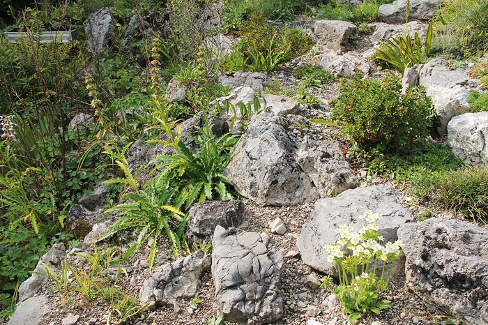 "Mini-Bergl" von Kurt, Hötting