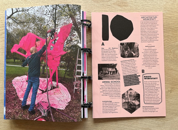 Publikation "Fantastische Hypothesen"