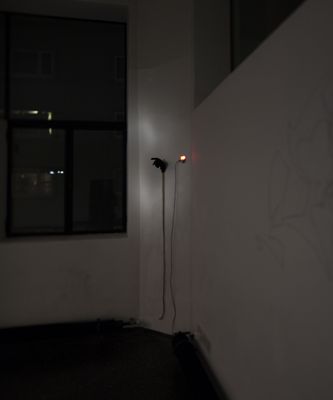 Blick in die Ausstellung "Rens Veltman: Infra und Ultra oder Colonise the Dark"
