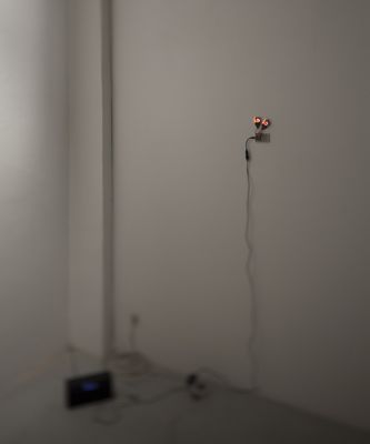 Blick in die Ausstellung "Rens Veltman: Infra und Ultra oder Colonise the Dark"