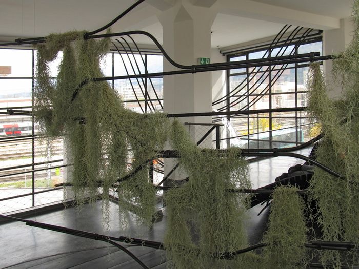 Ausstellung "Splined Spheres" im aut,  Bildnachweis: © aut