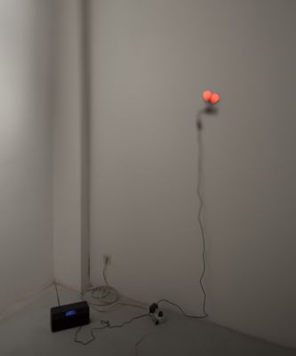 Blick in die Ausstellung "Rens Veltman: Infra und Ultra oder Colonise the Dark"