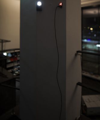 Blick in die Ausstellung "Rens Veltman: Infra und Ultra oder Colonise the Dark"