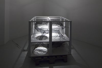 Blick in die Ausstellung "Numen/For Use: Out of Balance" im aut
