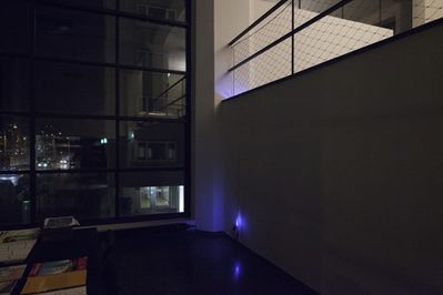 Blick in die Ausstellung "Rens Veltman: Infra und Ultra oder Colonise the Dark"