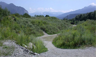 Neophyten – © Konrad Pagitz Neophyten