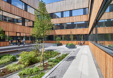 Das grüne Atrium dient den ForscherInnen als kontemplativer Ruhepol