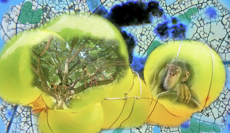 PastFuture