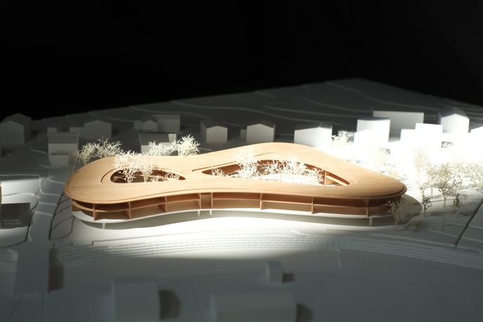 Modell Wohnbau Hopfgarten