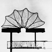 Frei Otto: Seifenblasen, Bildnachweis: © IL, Uni Stuttgart