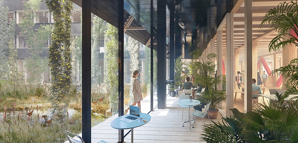 Herzog & de Meuron, Hortus, Allschwil, Rendering – © Herzog & de Meuron Herzog & de Meuron, Hortus, Allschwil, Rendering