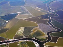 Vortrag Alfons Dworsky