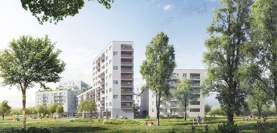 Campagne Reichenau