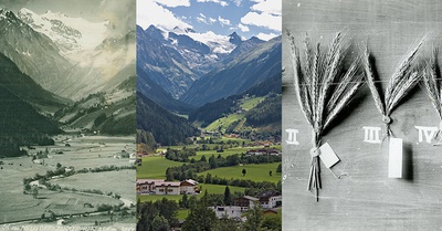 Milders, Stubaital, 1940 und 2007; Getreideährensammlung, 1922