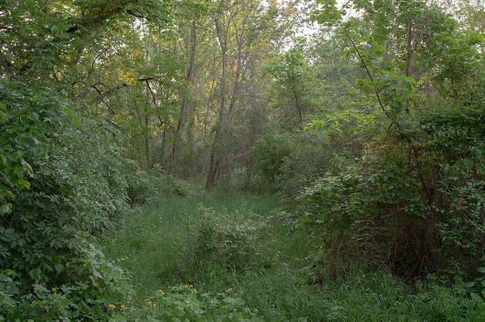 Freie Mitte Nordbahnhof, Wien