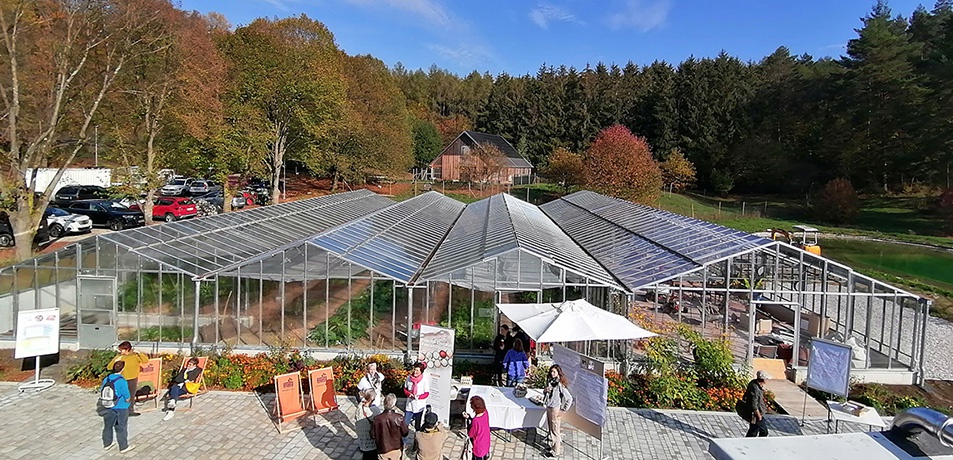 Vinzi-Rast am Land, Alland